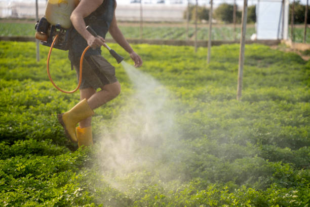 Best Best Pest Control Companies  in Sea Cliff, NY