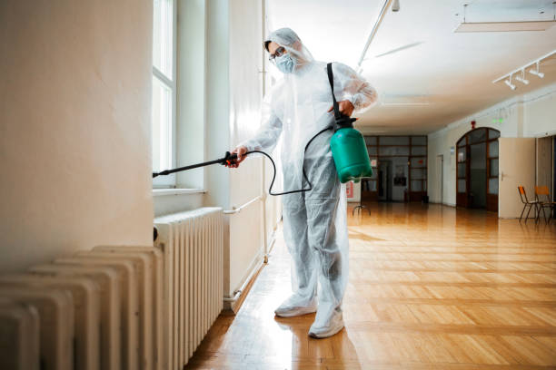 Professional Pest Control in Sea Cliff, NY
